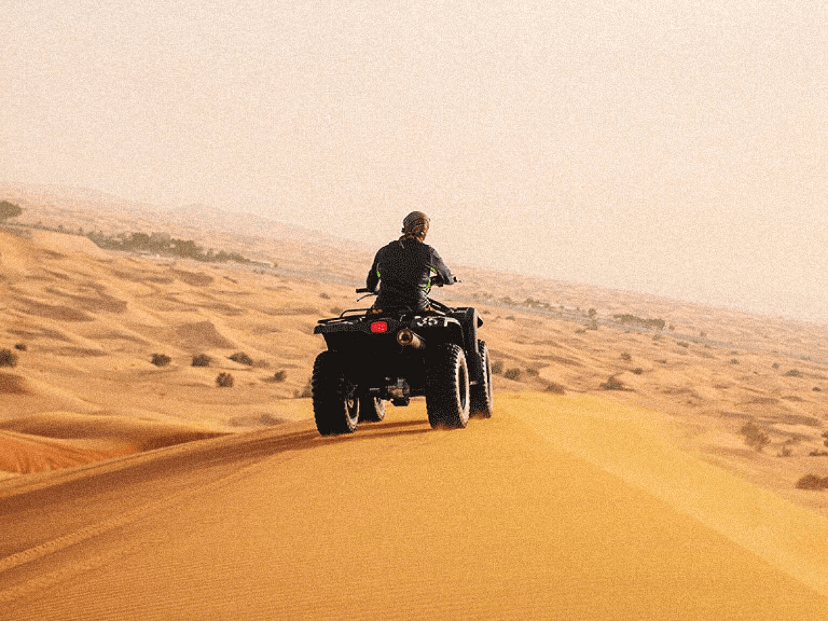 Safari no Deserto
